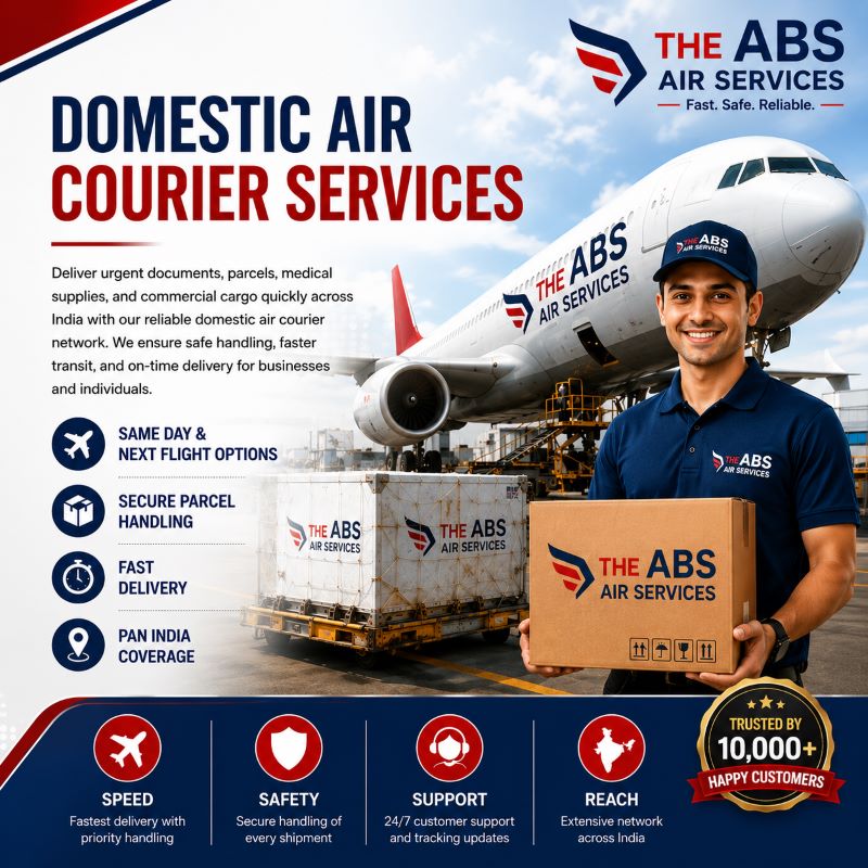 Domestic air service